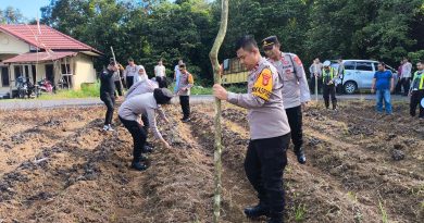 Sukseskan Program Presiden RI di Bidang Ketahanan Pangan, Polres Musi Rawas “Sulap” Lahan Asrama Jadi Kebun Pangan