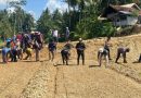 Polres Pangandaran Dukung Penanaman Jagung dan Pepaya di Karangbenda untuk Ketahanan Pangan